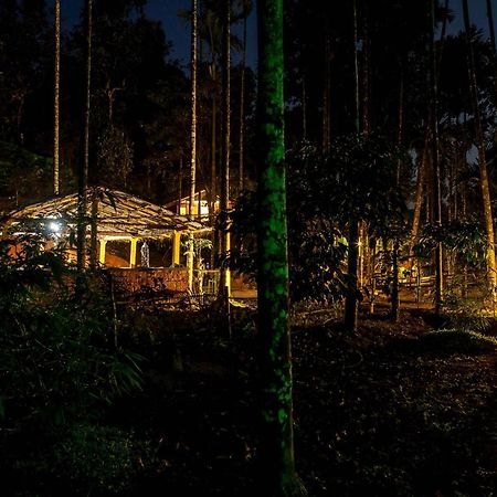 Wooden Cottages Glen Wayanad Meppādi Extérieur photo