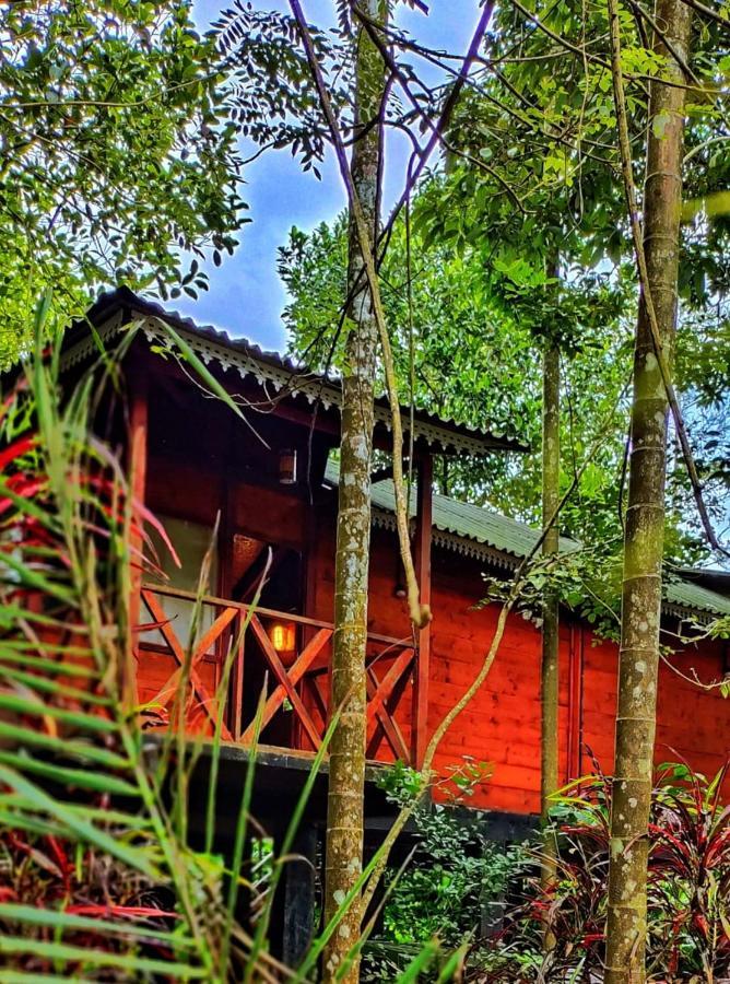 Wooden Cottages Glen Wayanad Meppādi Extérieur photo