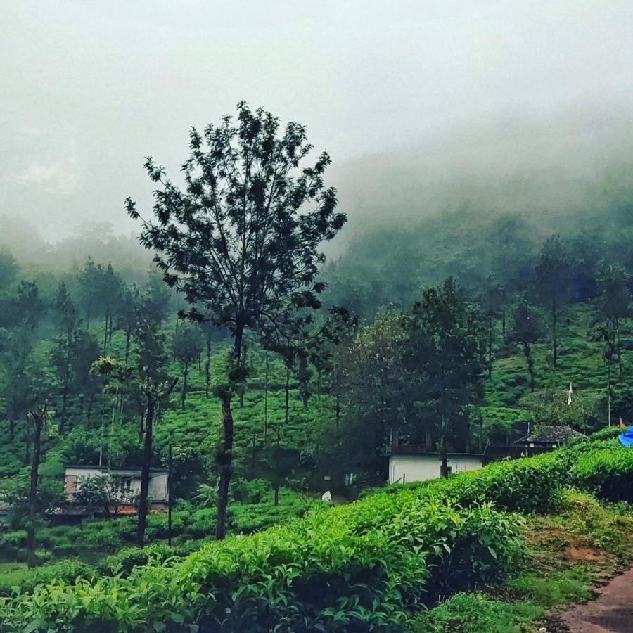 Wooden Cottages Glen Wayanad Meppādi Extérieur photo