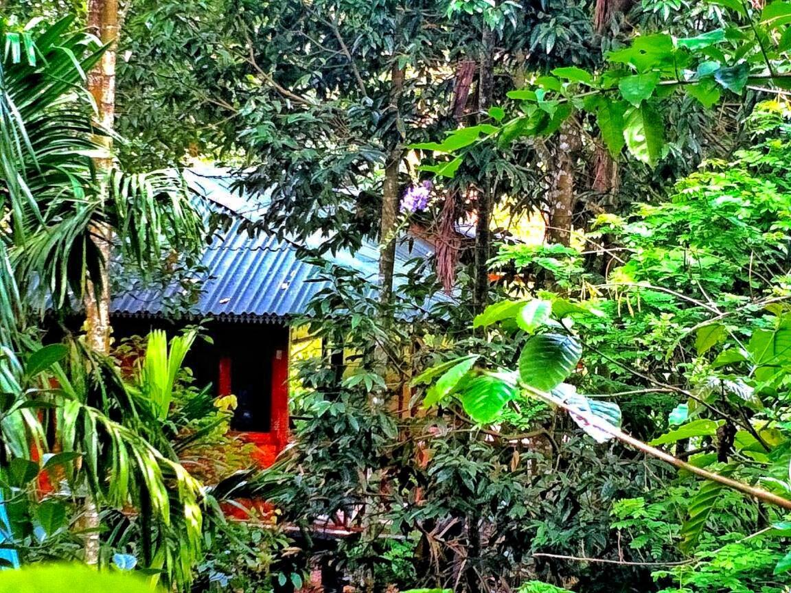 Wooden Cottages Glen Wayanad Meppādi Extérieur photo