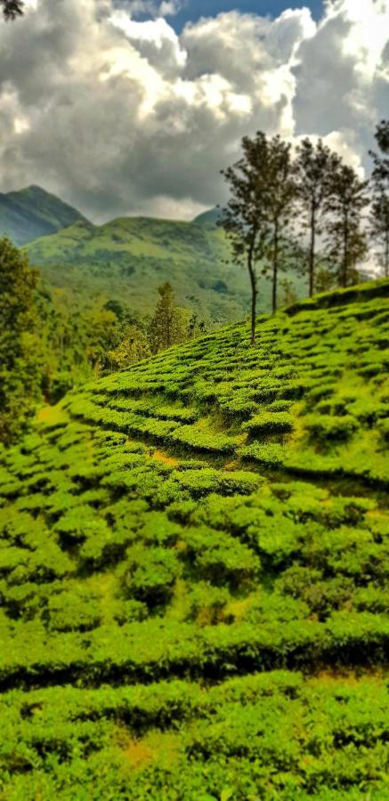 Wooden Cottages Glen Wayanad Meppādi Extérieur photo