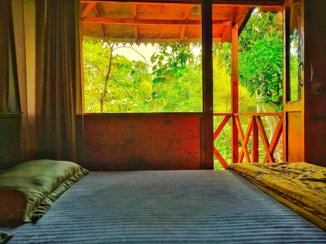 Wooden Cottages Glen Wayanad Meppādi Extérieur photo