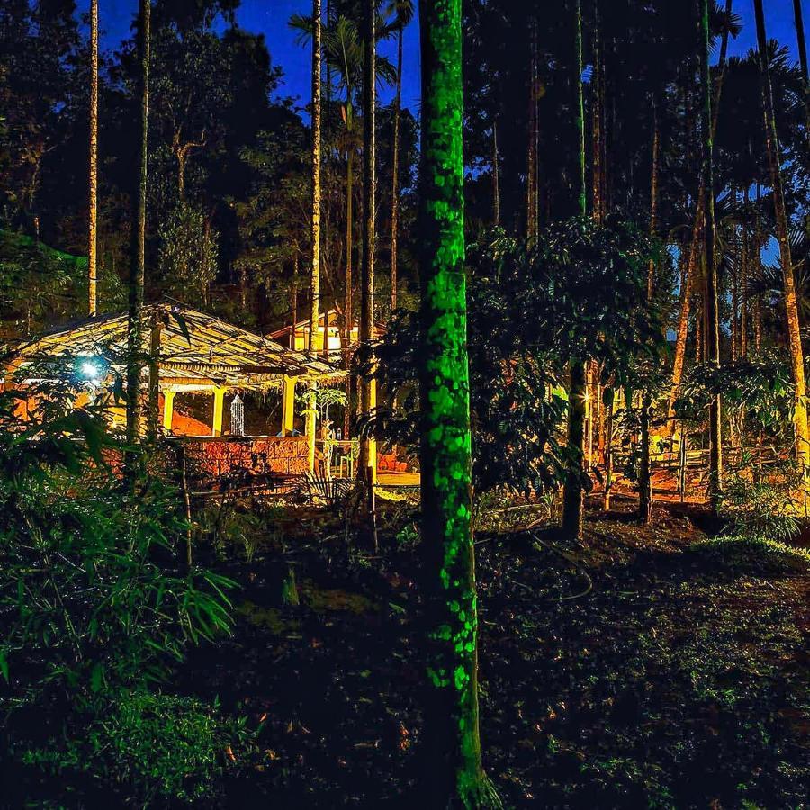 Wooden Cottages Glen Wayanad Meppādi Extérieur photo