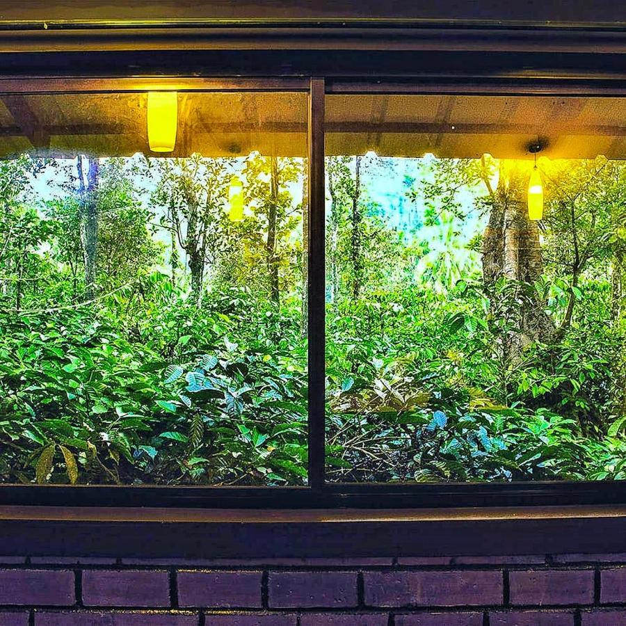 Wooden Cottages Glen Wayanad Meppādi Extérieur photo