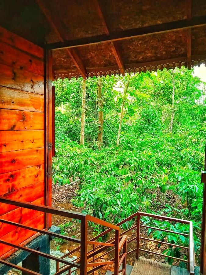 Wooden Cottages Glen Wayanad Meppādi Extérieur photo