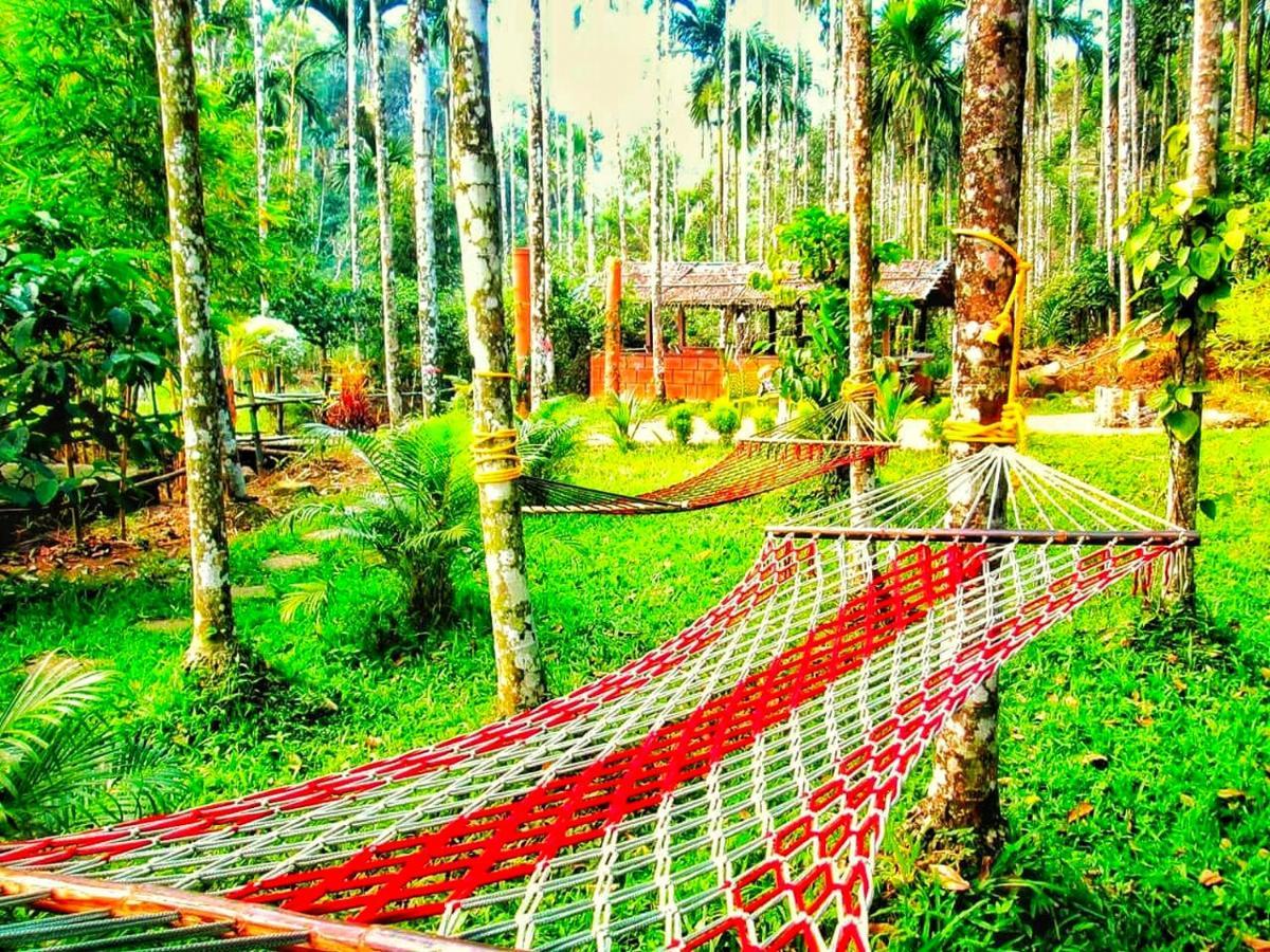 Wooden Cottages Glen Wayanad Meppādi Extérieur photo