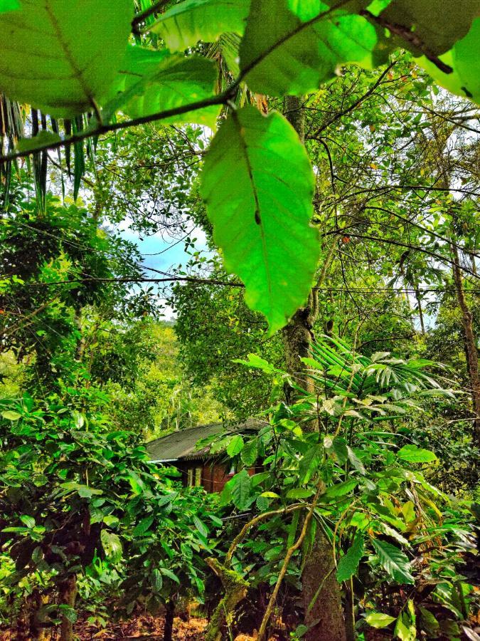 Wooden Cottages Glen Wayanad Meppādi Extérieur photo