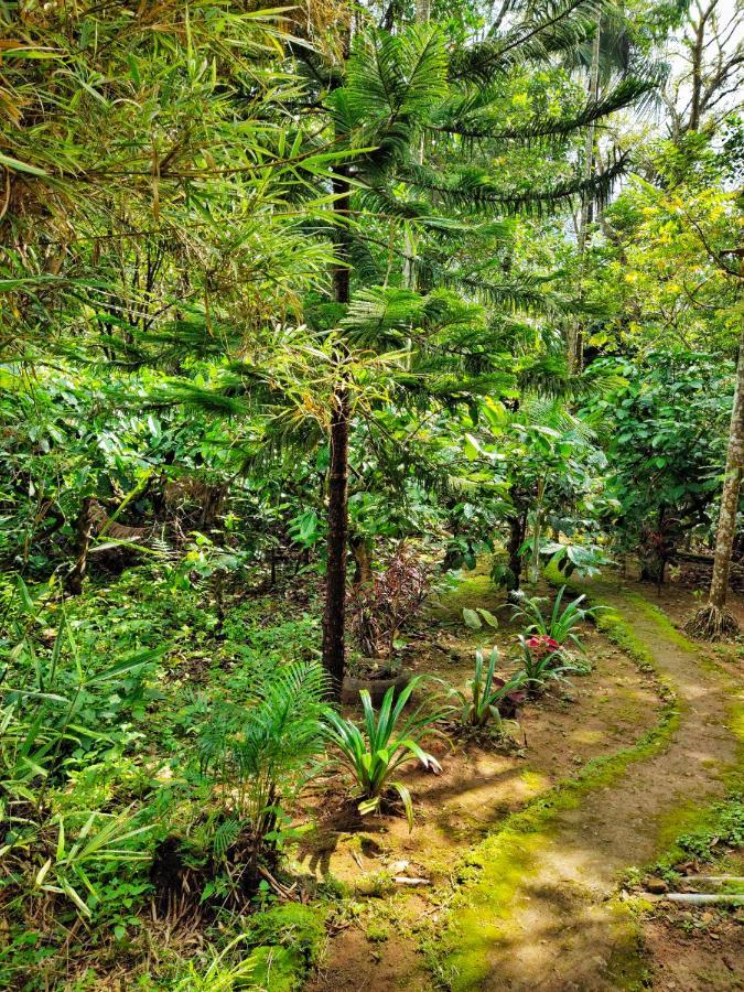Wooden Cottages Glen Wayanad Meppādi Extérieur photo