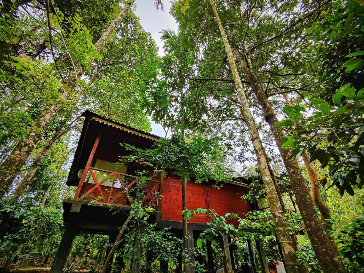 Wooden Cottages Glen Wayanad Meppādi Extérieur photo