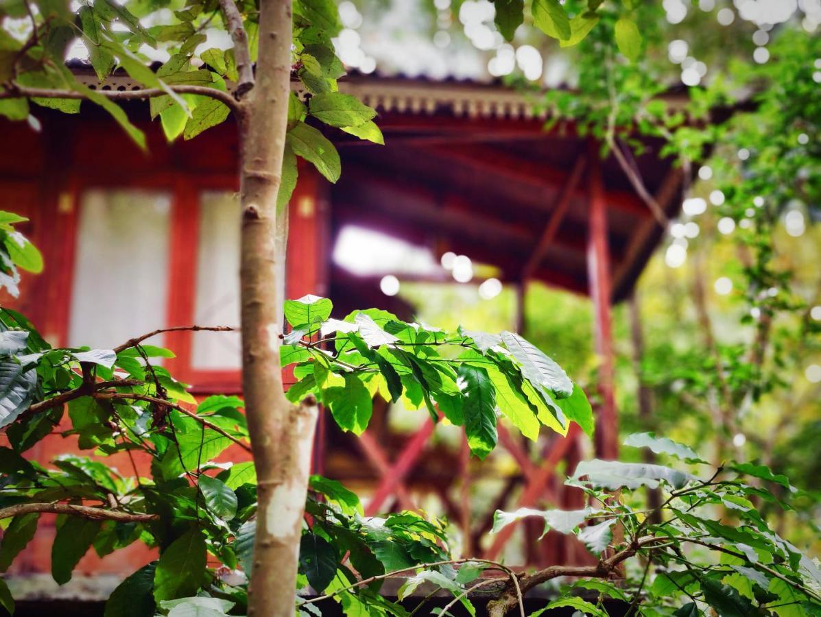 Wooden Cottages Glen Wayanad Meppādi Extérieur photo