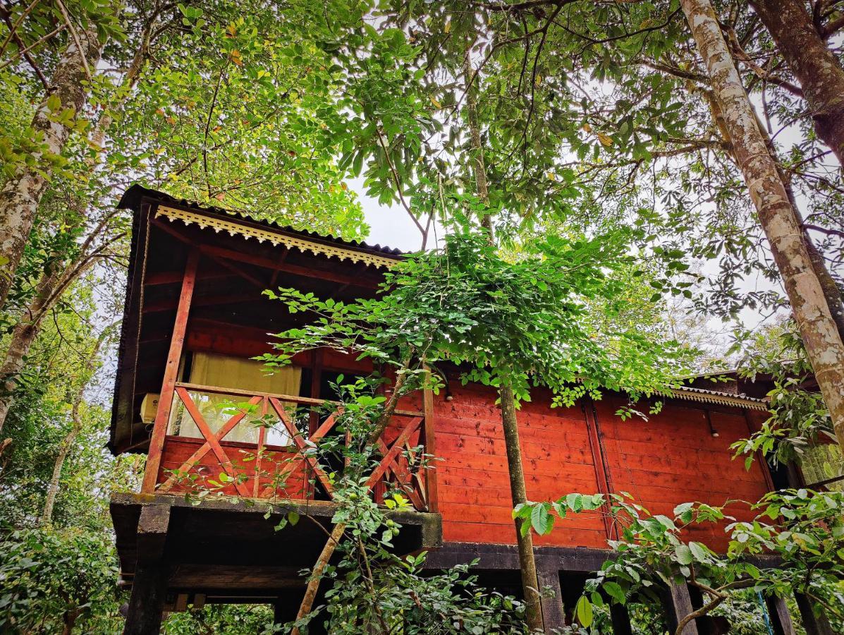 Wooden Cottages Glen Wayanad Meppādi Extérieur photo
