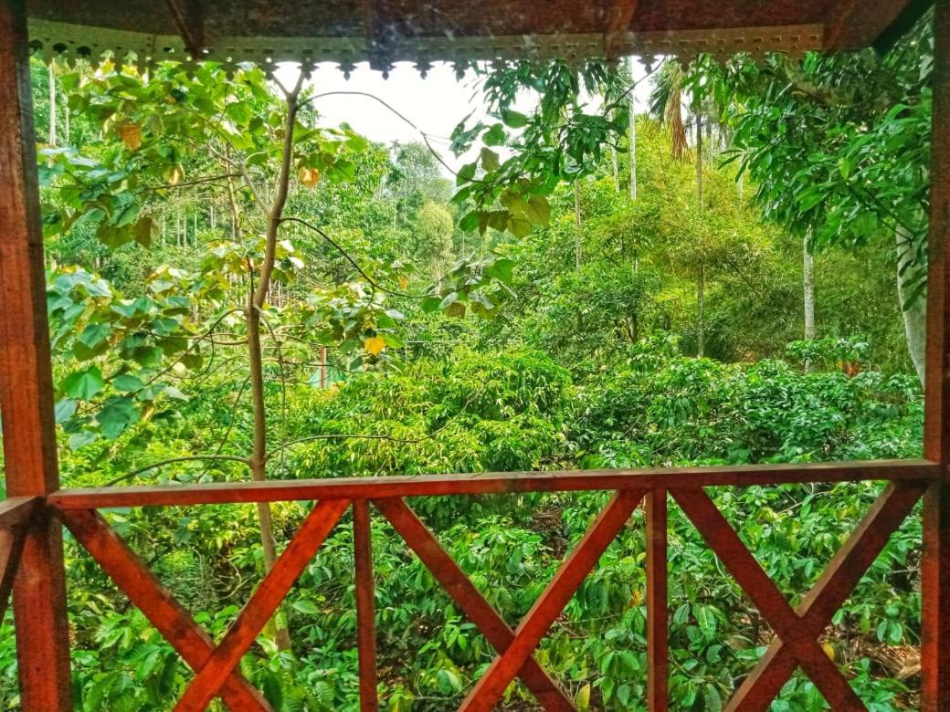 Wooden Cottages Glen Wayanad Meppādi Extérieur photo