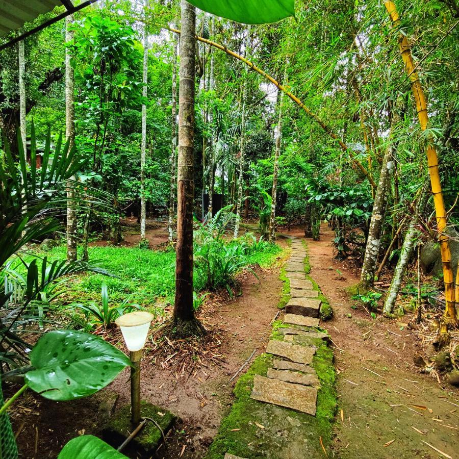 Wooden Cottages Glen Wayanad Meppādi Extérieur photo