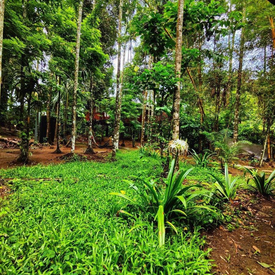 Wooden Cottages Glen Wayanad Meppādi Extérieur photo