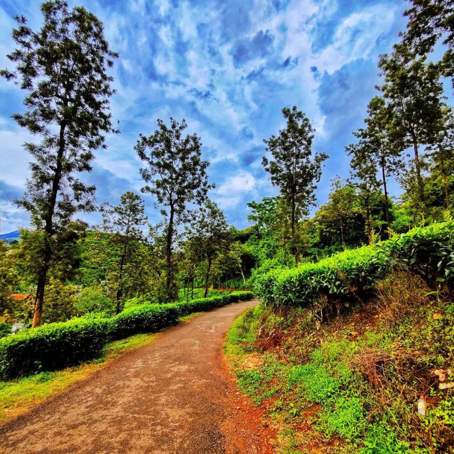 Wooden Cottages Glen Wayanad Meppādi Extérieur photo