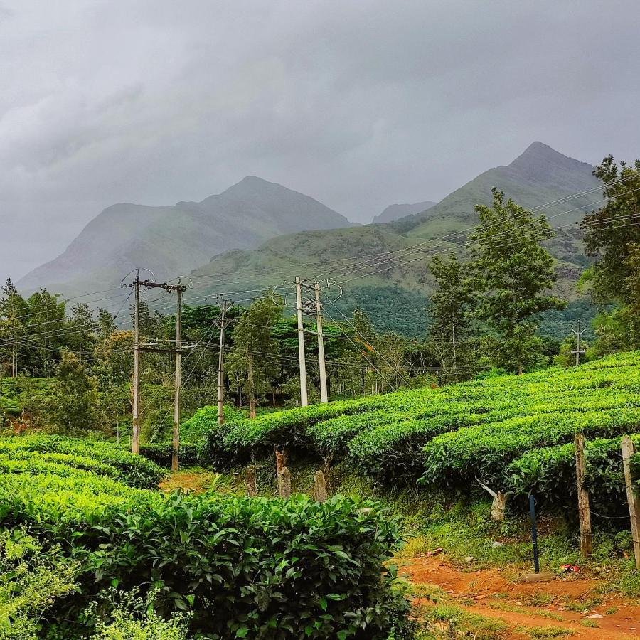 Wooden Cottages Glen Wayanad Meppādi Extérieur photo