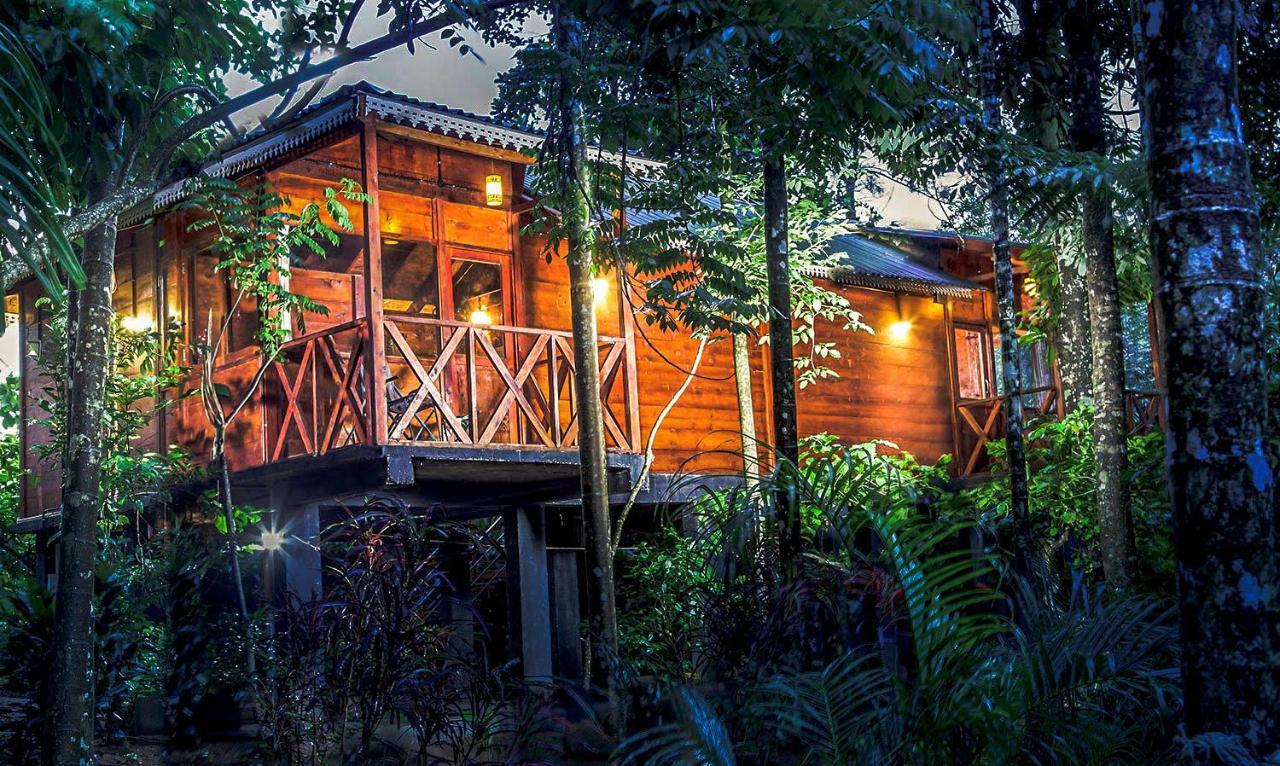 Wooden Cottages Glen Wayanad Meppādi Extérieur photo