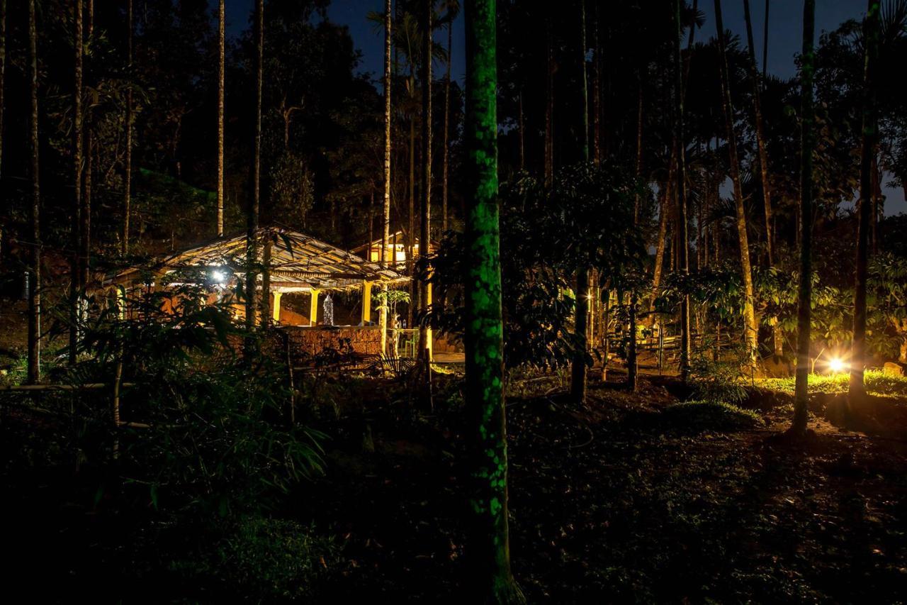 Wooden Cottages Glen Wayanad Meppādi Extérieur photo