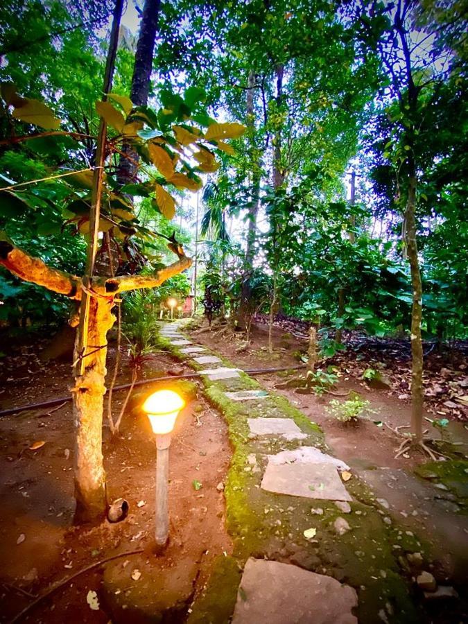 Wooden Cottages Glen Wayanad Meppādi Extérieur photo