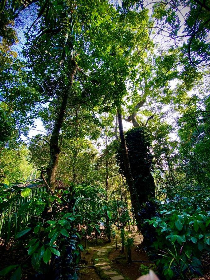 Wooden Cottages Glen Wayanad Meppādi Extérieur photo