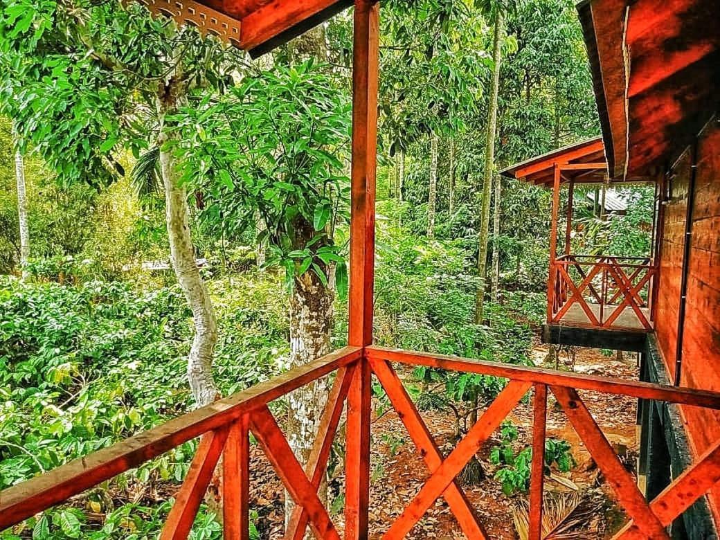 Wooden Cottages Glen Wayanad Meppādi Extérieur photo