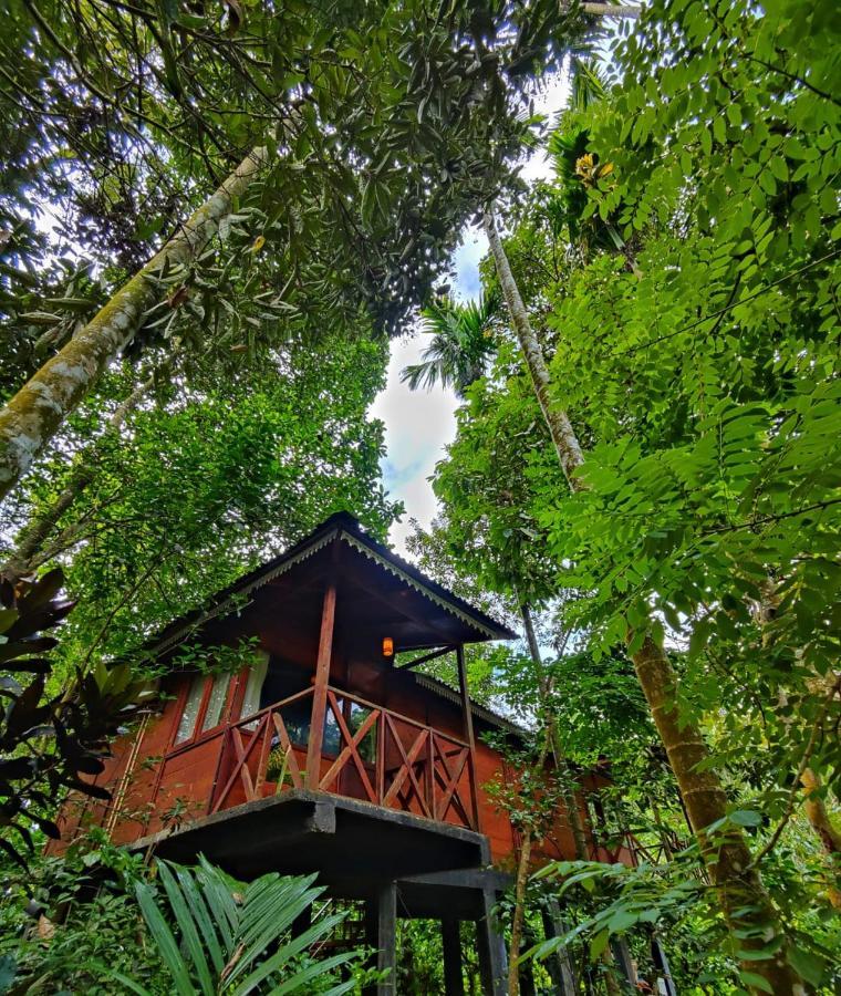 Wooden Cottages Glen Wayanad Meppādi Extérieur photo