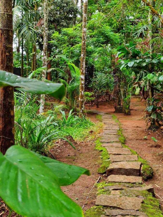 Wooden Cottages Glen Wayanad Meppādi Extérieur photo